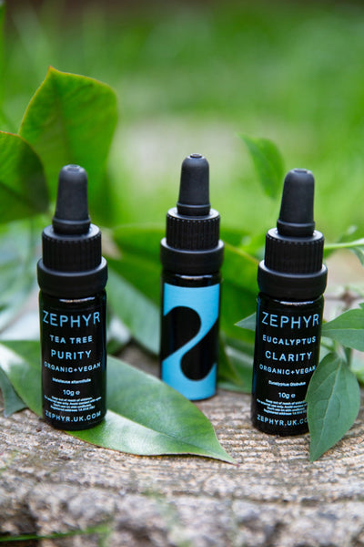 Eucalyptus (Clarity) - Organic